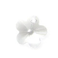 6744BS施華洛世奇梅花水晶白色14mm