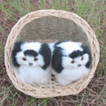 可愛(ài)黑白貓仿毛寵物禮品