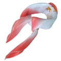 時尚兩元店絲巾/小魚兒薄絲巾方巾