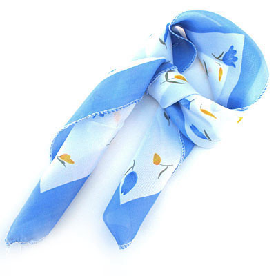 藍(lán)邊花草點(diǎn)點(diǎn)絲巾