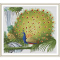孔雀開屏十字繡套件中格79*88cm