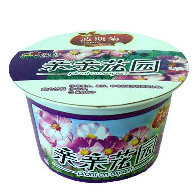 親親花園之波斯菊