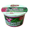親親花園創(chuàng)意小園藝/可愛牽?；ǚN植花草