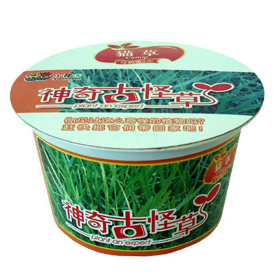 個(gè)性家居園藝神奇古怪草之貓草