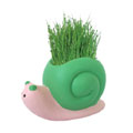 小蝸牛時(shí)尚小草園藝家居擺件