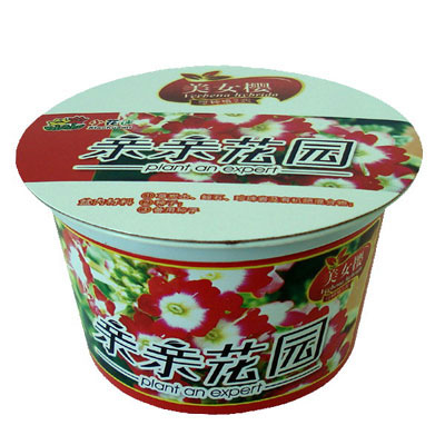 親親花園之美女櫻家庭小園藝