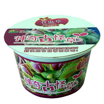 家居種植園藝小擺件神奇古怪草之食蟲草