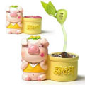 可愛頑皮騷包豬家居魔豆飾品