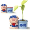 可愛頑皮騷包豬家居魔豆飾品