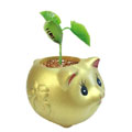 金豬納福激光刻字魔豆