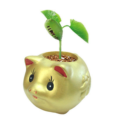 金豬納福激光刻字魔豆