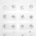 4mm透明白色圓鋯石耳釘