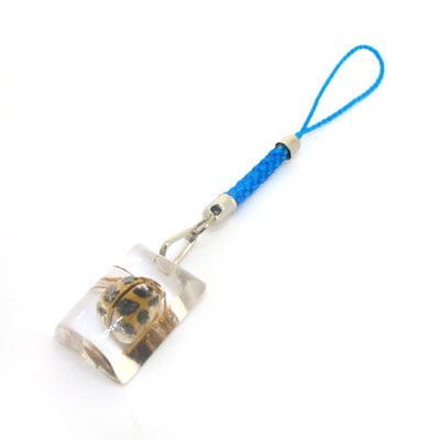 昆蟲透明琥珀飾品個性手機(jī)掛件批發(fā)