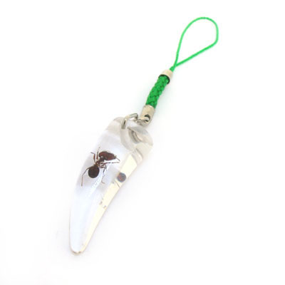 小辣椒個(gè)性小昆蟲飾品 透明琥珀手機(jī)鏈