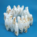 白口螺本色貝殼片手鏈貝類(lèi)飾品批發(fā)